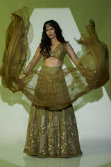Olive Garden Lehenga
