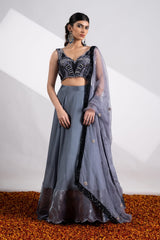 Wandering Willow Lehenga
