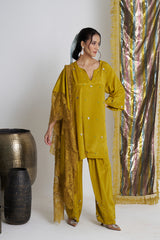 Sarson Softy Farshi Set