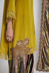 Bijli Bijli Farshi Set